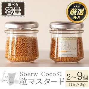 yӂ邳Ɣ[ŁzeʂIׂISoerw Coco̗}X^[h(70g×2`9Zbg)  炵 yFoodSpiceSoerwCocoz