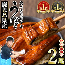 【ふるさと納税】＜食べきりサイズ！＞東串良町のうなぎ蒲焼(無頭)(計2尾・計約200g・タレ、山椒付) うなぎ 蒲焼長焼 ウナギ 鰻 蒲焼き 国産うなぎ 国産 九州産 鹿児島 鹿児島県産 人気 ランキング 家庭用【アクアおおすみ】【0074336a-fly】