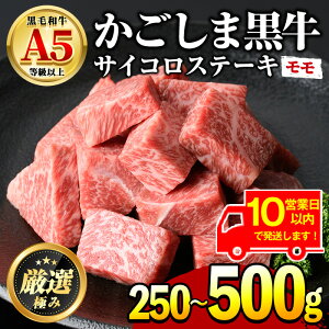 yӂ邳Ɣ[Łzs10cƓȓɔIteʂIׂ遄YјaIA5TCRXe[L(F250g/500g) Y     Xe[L ē BBQ o[xL[ J[ 