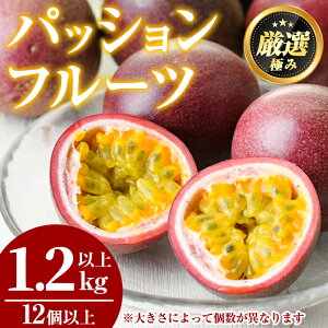 yӂ邳Ɣ[Łz䂫_̃pbVt[c(1.2kgȏ) t[c ʕ ʎ 1L Ԍ Yy䂫_zy0105302az