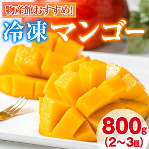 yӂ邳Ɣ[ŁzYقXXIǒY ۂƗⓀ}S[(v800gE2-3) ʕ t[c ʎ fU[g Y Ⓚ ƒpyǕYكsm̗zy0105933az