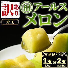 【ふるさと納税】＼高評価★4.8獲得！／＜容量が選べる！＞＜訳あり＞マル福の高級アールスメロン(大玉1玉・1.7kg/大玉2玉・計3.4kg) メロン フルーツ 果物 果実 旬 訳あり 訳アリ 1キロ 3キロ 数量限定 期間限定 【マル福園芸組合】【0111109a】【0211116a】