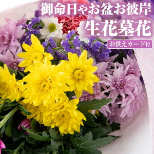 yӂ邳Ɣ[Łz䖽₨~ފ݂̐(4ޑOEJ[ht)  ԑ t[  ~ ފ eyǕYكsm̗zy0125904az