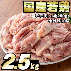 yӂ邳Ɣ[ŁzY{̃(v2.5kgE{1×10P) {   ނ˓   YyGrXzy0124807az