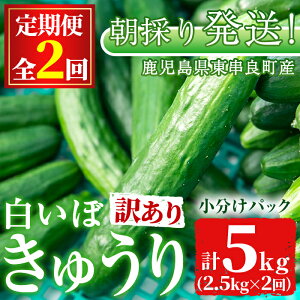 yӂ邳Ɣ[Łz󂠂聄ցES2(11E1)ՂIq_̔ڂイ(2.5kg×2) s KiO  ₳ { VN T_ LE ӉZyq_zy0123904b