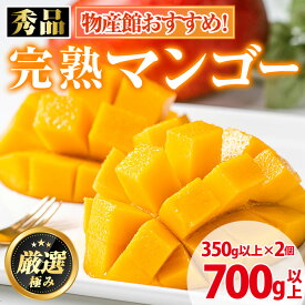 【ふるさと納税】《先行予約・数量限定》鹿児島県産南国の恵み完熟マンゴー(秀品・350g以上×2個) 果物 フルーツ 果実 冷蔵 デザート 国産【東串良物産館ルピノンの里】【0125938a】