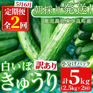 yӂ邳Ɣ[Łz󂠂聄ցES2(5E6)ՂIq_̔ڂイ(2.5kg×2) s KiO  ₳ { VN T_ LE ӉZyq_zy0123905b