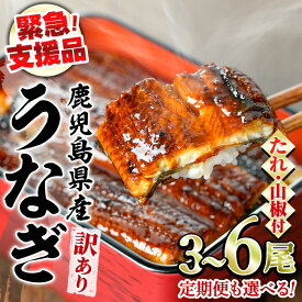 【ふるさと納税】【緊急支援品】＜容量が選べる＞＜訳あり＞鰻の蒲焼き(無頭)＜計約480g～750g(3～6尾)/定期便・計約960g(3～4尾×2回)＞(タレ、山椒付) うなぎ ウナギ 鰻 蒲焼き 国産うなぎ 国産 九州産 鹿児島 鹿児島県産 人気 ランキング 高級 おすすめ【アクアおおすみ】
