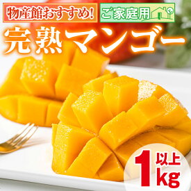 【ふるさと納税】《高評価★4.94獲得》＜先行予約・数量限定＞南国鹿児島県産の太陽の恵み！完熟マンゴー(計1kg以上・2-3個入り) 果物 フルーツ 果実 デザート 国産 冷蔵 【東串良物産館ルピノンの里】【0145910a】