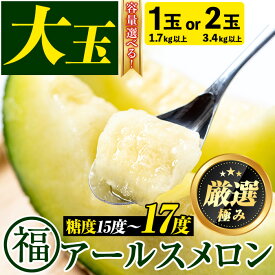【ふるさと納税】＜容量が選べる！＞＜厳選極み＞マル福の高級アールスメロン(大玉1玉・1.7kg以上/大玉2玉・計3.4kg以上) メロン フルーツ 果物 果実 1キロ 3キロ 数量限定 期間限定 贈答 贈り物【マル福園芸組合】【0151110a】【0281111a】