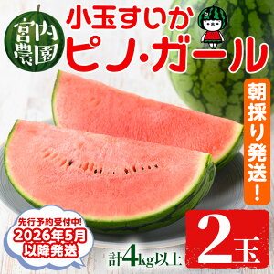 yӂ邳Ɣ[Łzs2026N5ȍ~tʂEsmEK[(2ʁEv4kgȏ) ʕ ʎ t[c XCJ smK[ ʌ Ԍy{_zy0165005az