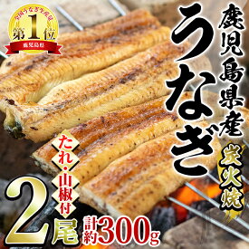 【ふるさと納税】東串良町のうなぎ炭火白焼(無頭)(2尾・計約300g・タレ、山椒付) ウナギ 鰻 白焼き 国産うなぎ 国産 九州産 鹿児島 鹿児島県産 人気 ランキング 高級 おすすめ 【アクアおおすみ】【0174320a】