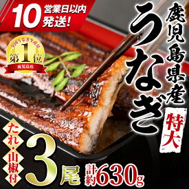 【ふるさと納税】＼高評価★4.80獲得！／東串良町のうなぎ蒲焼(無頭)(3尾・計約630g・タレ、山椒付) うなぎ 蒲焼長焼 ウナギ 鰻 蒲焼き 国産うなぎ 国産 九州産 鹿児島 鹿児島県産 人気 ランキング 高級 特大 スピード発送 スピード便 【アクアおおすみ】【0204356a-10E】