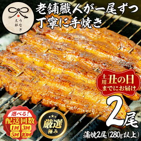 【ふるさと納税】＜丑の日発送も選べる！＞鹿児島県産東串良町のうなぎ蒲焼・秘伝のタレ付き＜2尾・計280g以上/2尾・計280g以上×3回/2尾・計280g以上×5回/2尾・計280g以上×10回＞ うなぎ 高級 ウナギ 鰻 国産 蒲焼 蒲焼き 鰻の蒲焼 タレ 鹿児島県産 定期便【うなぎ太郎】
