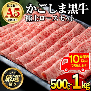 yӂ邳Ɣ[Łzs10cƓȓɔIteʂIׂIYјaIA5ɏネ[XԂԂ₫p(500g/v1kgE500g×2P)   a Ⓚ Y  Ԃ