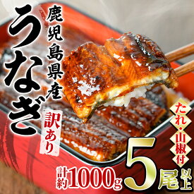 【ふるさと納税】＼高評価★4.59獲得！／＜訳あり＞東串良町のうなぎ蒲焼(無頭)(5尾以上・計約1kg・タレ、山椒付) うなぎ 蒲焼長焼 ウナギ 鰻 蒲焼き 国産 九州産 鹿児島 鹿児島県産 人気 ランキング 高級 おすすめ【アクアおおすみ】【0304313a】