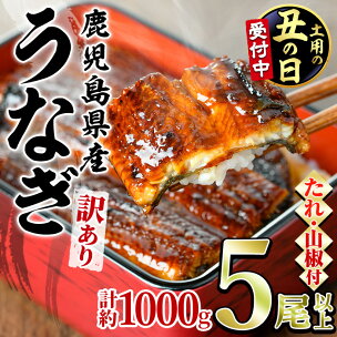 ＼高評価★4.59獲得！／＜丑の日発送も選べる！＞＜訳あり...