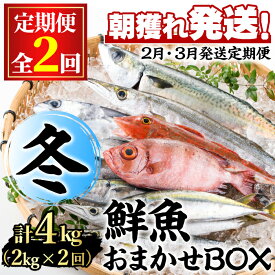 【ふるさと納税】＜定期便・全2回(2月・3月)＞「冬の鮮魚BOX」朝獲れ発送！鮮魚問屋が厳選したおまかせ鮮魚(約2kg程度×2回) 魚 魚介類 鮮魚 海鮮 詰め合わせ セット 刺身 天ぷら 煮つけ 塩焼き【江川商店】【0301103b】