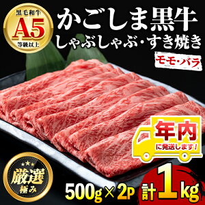 yӂ邳Ɣ[ŁzNIYјaA5 ؂肵ԂԂ₫p(v1kgE500g×2P)   a Ⓚ Y Y   o ؂ Ԃ Ă 