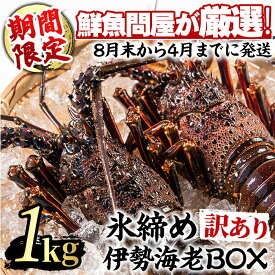 【ふるさと納税】＼高評価★4.85獲得！／＜訳あり＞朝獲れ発送！鮮魚問屋が厳選した氷締め伊勢海老(2尾・総量1kg以上) 伊勢エビ 伊勢えび 刺身 さしみ えび 海老 魚介類 海鮮 刺身 塩焼き 訳あり 訳アリ 【江川商店】【0343207a】