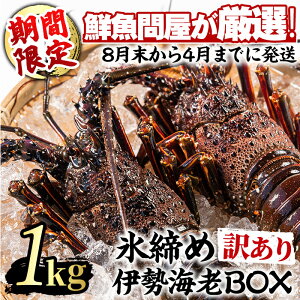 yӂ邳Ɣ[Łz_]4.85lI^󂠂聄lꔭIN≮IX߈ɐCV(2E1kgȏ)   CN hg Ăy]쏤Xzy0343207az