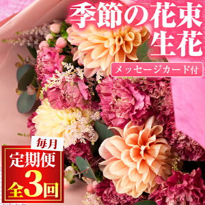 yӂ邳Ɣ[ŁzցES3(A)G߂̐Ԃ̉ԑMtg(3ޑOEbZ[WJ[ht×3)  ԑ t[ 蕨 yǕYكsm̗zy0325904bz