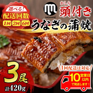 yӂ邳Ɣ[Łzs10cƓȓɔItYȂ̊(L)v420g(140g×3)/ցEv840g(140g×3×2)/ցEv2520g(140g×3×6) Ȃ  EiM V Y 