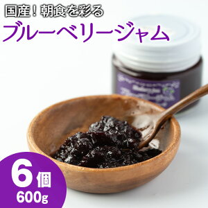 yӂ邳Ɣ[ŁzґȍYu[x[W(100g×6Ev600g) W r ʕ ʎ t[c pyRzy12161z
