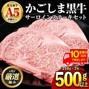 yӂ邳Ɣ[Łzs10cƓȓɔItYјaIA5T[CXe[L(v500gE250g×2) Y   Ⓚ T[C  Xe[L ē BBQ o[xL[yOc{
