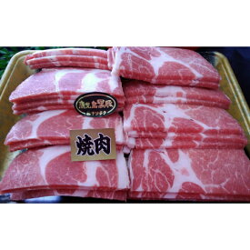 【ふるさと納税】No.1006 鹿児島県産 黒豚肩ロース焼肉