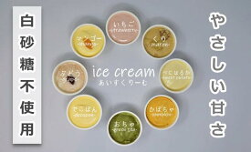 【ふるさと納税】No.1018 -1 ご当地アイスセット