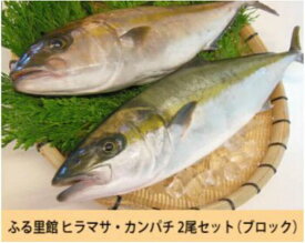 楽天市場 ヒラマサ 食品 の通販