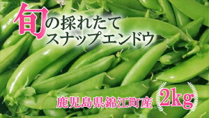 �y�ӂ邳�Ɣ[�ŁzNo.1395-1�s��s��t�t���Ԍ���I�I �_�ƒ����`�V�N�X�i�b�v�G���h�E�����Ղ�2kg