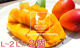 【ふるさと納税】No.1195-3 完熟マンゴー（L〜2L×2個）