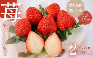 �y�ӂ邳�Ɣ[�ŁzNo.1410-2 Noguchi Farm �̂��������C�`�S ��700g