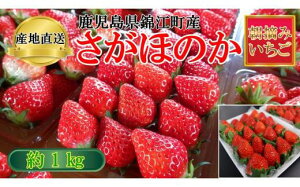 �y�ӂ邳�Ɣ[�ŁzNo.1400-2 �������񂿂̂����� �w �����ق̂� �x ��1kg