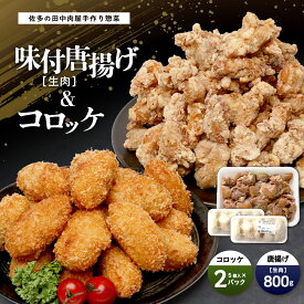 【ふるさと納税】 佐多の田中肉屋 味付唐揚げとコロッケ 2種 食べ比べ セット 冷凍便 TA-404 | 国産 鶏肉 骨なし お惣菜 手作り から揚げ 揚げるだけ コロッケ 大容量 おかず 弁当 おつまみ 簡単調理 産地直送 鹿児島県 南大隅町 田中精肉店