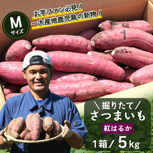 yӂ邳Ɣ[Łz܂ g͂邩 x肽 5kg ( 1 ) MTCY V Y 2025N9{菇 FR-204