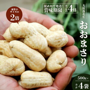 yӂ邳Ɣ[ŁzH׉Q̑嗱Ԑu܂v500g×4܁ᐔʌ FR-313bY  ₳ Hi lC   Ԑ ܂ Yn VN