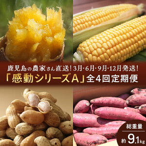 yӂ邳Ɣ[ŁzyցEN4z_Ƃ̊V[YA(9.1kg) FR-305bⓀĂ S[hbV 䥂ŗԐ g͂邩 ؒ