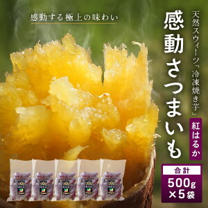 yӂ邳Ɣ[Łz܂yⓀĈzg͂邩500g×5pbN FR-504