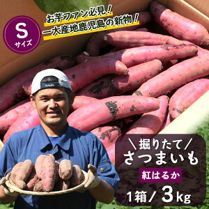 yӂ邳Ɣ[Łz܂ g͂邩 x肽 3kg ( 1 ) STCY V Y y2025N9{菇z