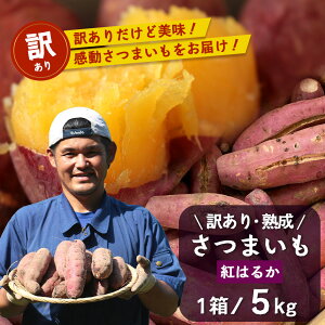 yӂ邳Ɣ[Łz󂠂 n g͂邩 5kg (1 ) ܂ Yy2025N11{菇z FR-217