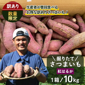yӂ邳Ɣ[Łzy󂠂z ܂ g͂邩 x肽 10kg (1 ) V Yy2025N9{菇zFR-208