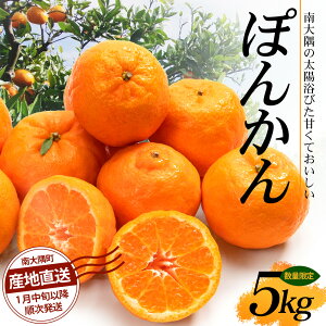 【ふるさと納税】【先行予約】南大隅の太陽浴びた甘くて・おいしい ぽんかん 5kg【2026年1月中旬以降順次発送】 ID-1 |ぽんかん ポンカン 柑橘 甘い 果物 新鮮 産地 直送 先行予約 おすすめ