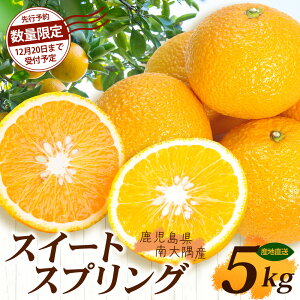 yӂ邳Ɣ[ŁzyʌzYXC[gXvO 5kg y2025N12{菇zbk  ʕ t[c XC[gXvO Hi lC   VN 