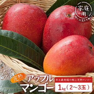 yӂ邳Ɣ[Łzs\Eʌy󂠂z {yœ[̉ʎňĂ nAbv}S[1kg (2`3) ƒpy2026N7{ȍ~zb  Yn