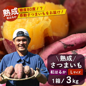 yӂ邳Ɣ[ŁzyYzn g͂邩 3kg (1 ) LTCY ܂@FR-531