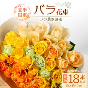 yӂ邳Ɣ[Łzys\EċG KNz΂_ƒIoԑ18{ȏエ͂(n)yMtgΉzTB-3[Y VN  t[ ԑ ΂ KN o a LO j M