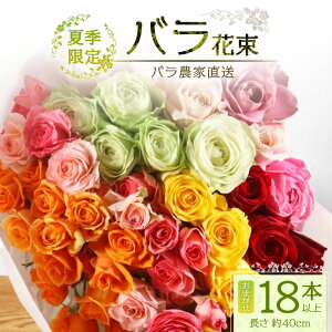 yӂ邳Ɣ[Łzys\EċG KNz΂_ƒIoԑ18{ȏエ͂(F͂܂)yMtgΉzTB-4[Y VN  t[ ԑ ΂ KN o a LO 